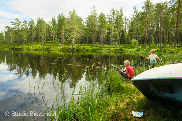 vissen Zweden