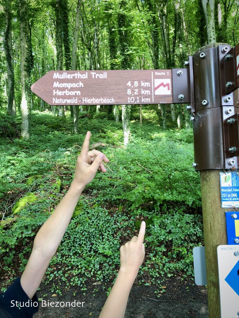 Mullerthal Trail route 1 Moersdorf
